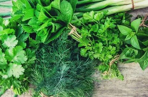 قیمت سبزی آش